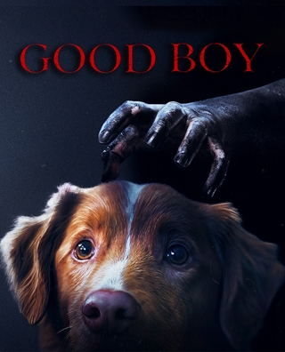 Good Boy photo 1