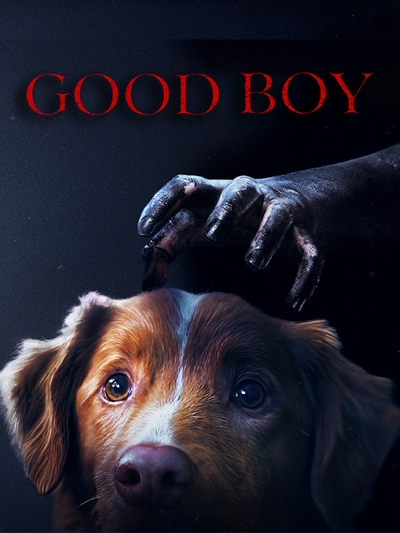 Good Boy poster