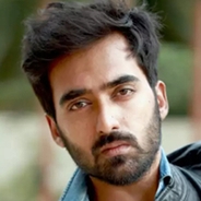 Harshil Koushik