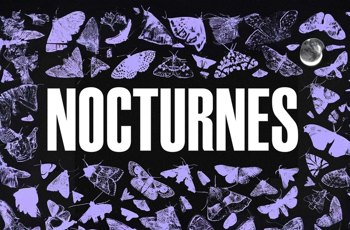 Nocturnes movie banner