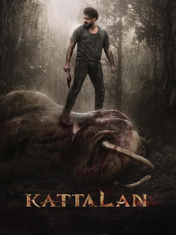 Kattalan