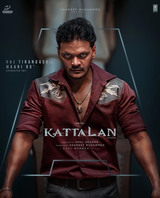 Kattalan photo 13