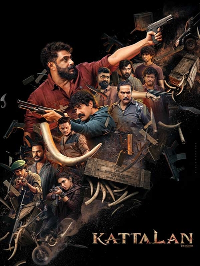 Kattalan poster