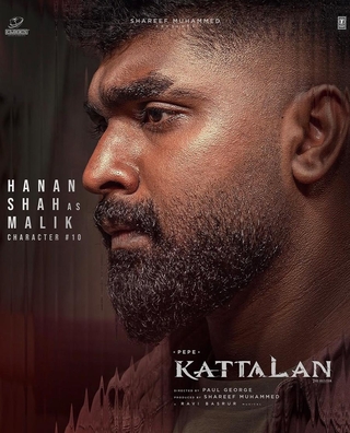 Kattalan photo 3