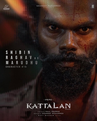 Kattalan photo 8