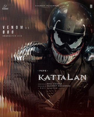 Kattalan photo 10