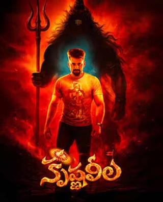 Krishna Leela photo 1