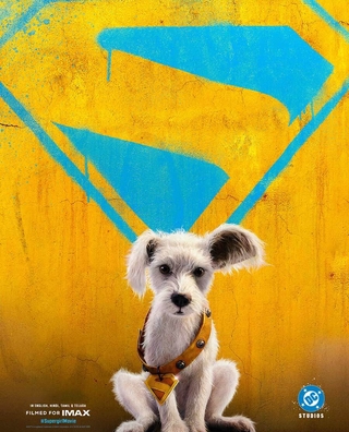 Supergirl photo 4