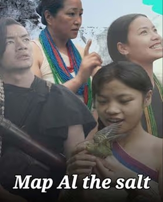 MAP AL: The Salt (2023) photo 1