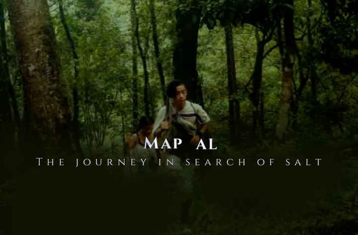MAP AL: The Salt (2023) movie banner