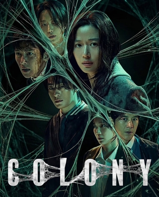 Colony photo 7