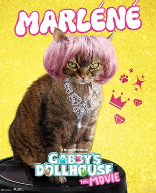 Gabbys Dollhouse : The Movie photo 5