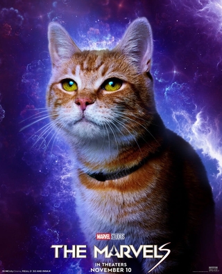 The Marvels (2023) photo 6