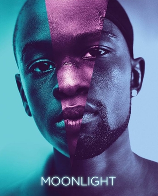 Moonlight (2017) photo 1