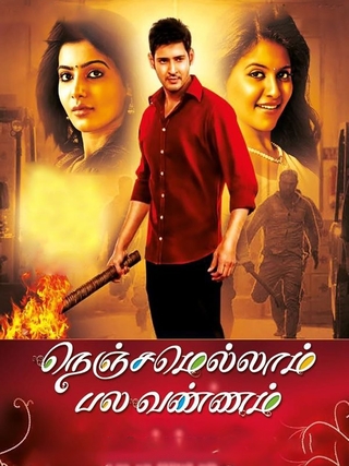 Nenjamellam Palavannam (2013)