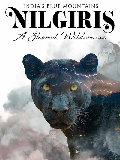Nilgiris: A Shared Wilderness (2025) poster