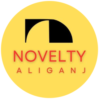 Novelty Aliganj, Lucknow logo