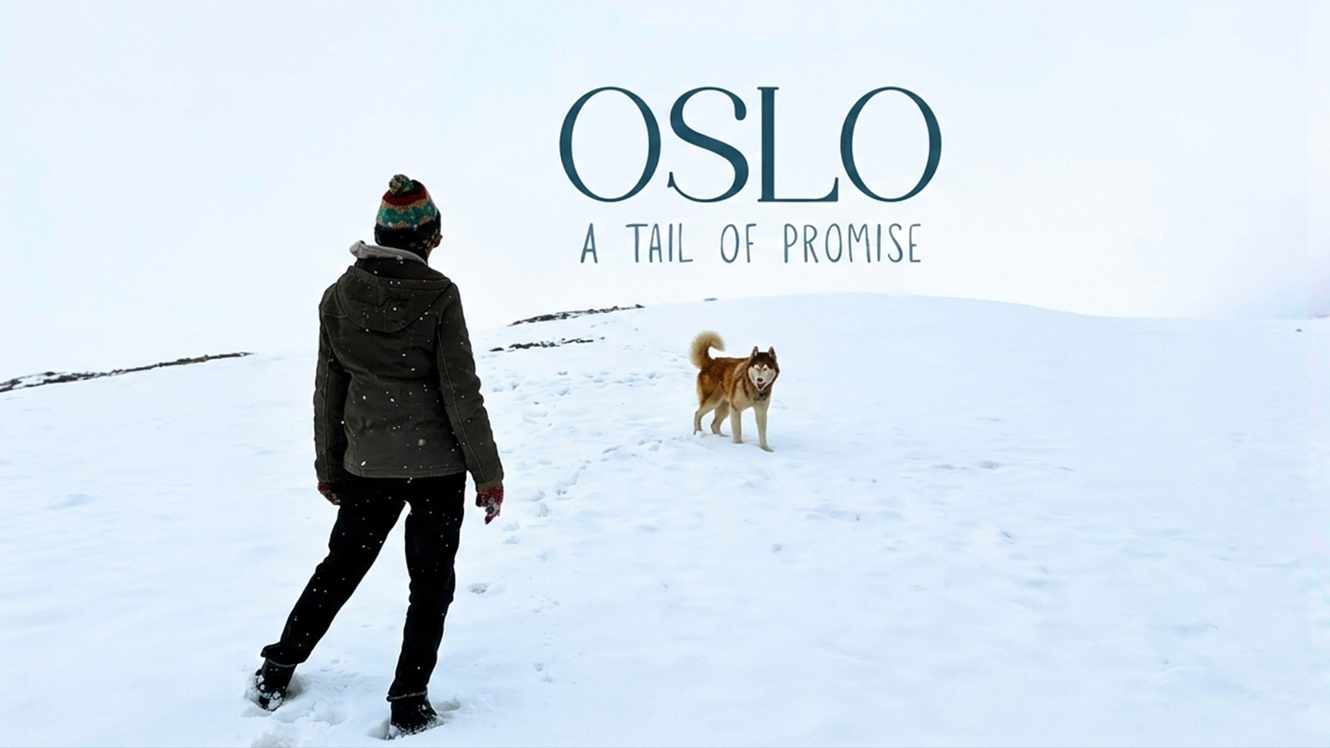 Trailer of Oslo - A Tail of Promise