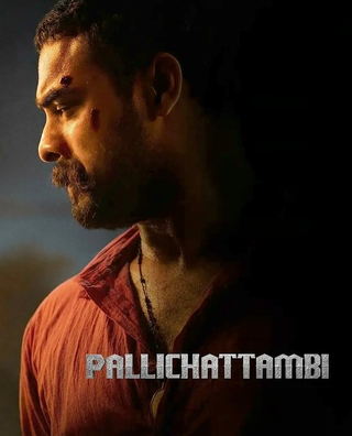 Pallichattambi photo 1