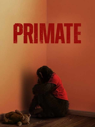 Primate