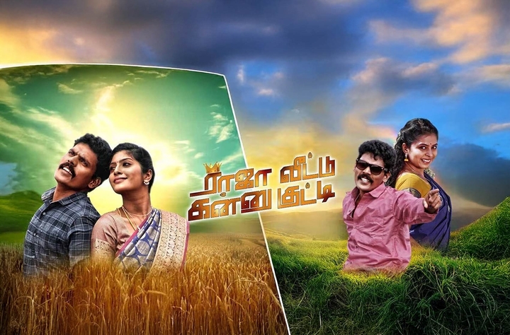 Raja Veetu Kannukutty movie banner