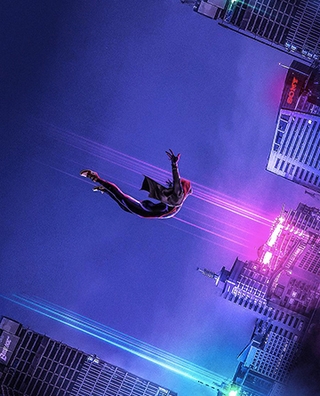 Spider-Man: Into The Spider-Verse (2018) photo 2