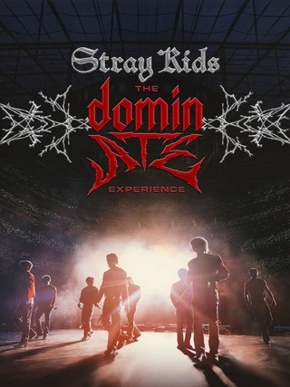 Stray Kids: The dominATE Experience