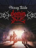 Stray Kids: The dominATE Experience