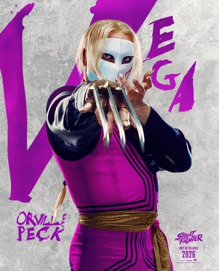 Street Fighter photo 15