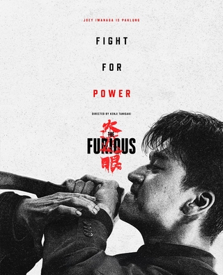 The Furious photo 3