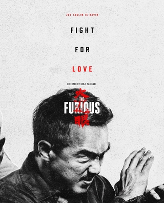 The Furious photo 4