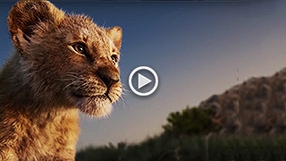 The Lion King | In Cinemas July 19 | Disney India