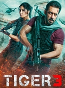 Tiger 3 (2023)