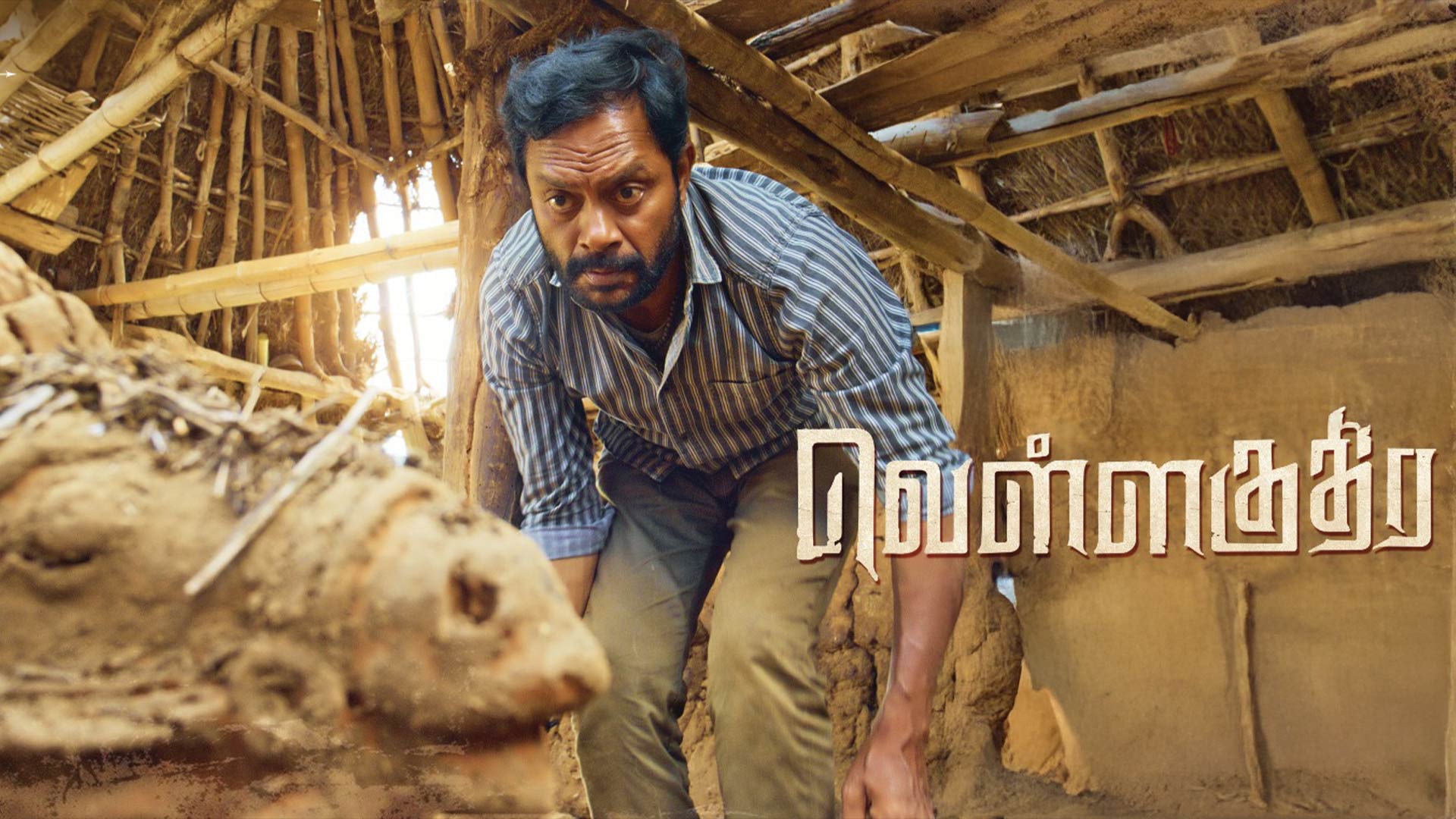 VELLAKUTHIRA OFFICIAL TRAILER | Harish Ori | Saranraj Senthilkumar | Bharath Aaseevagan