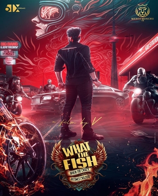 What the Fish photo 1