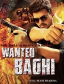 Wanted Baghi (2016)