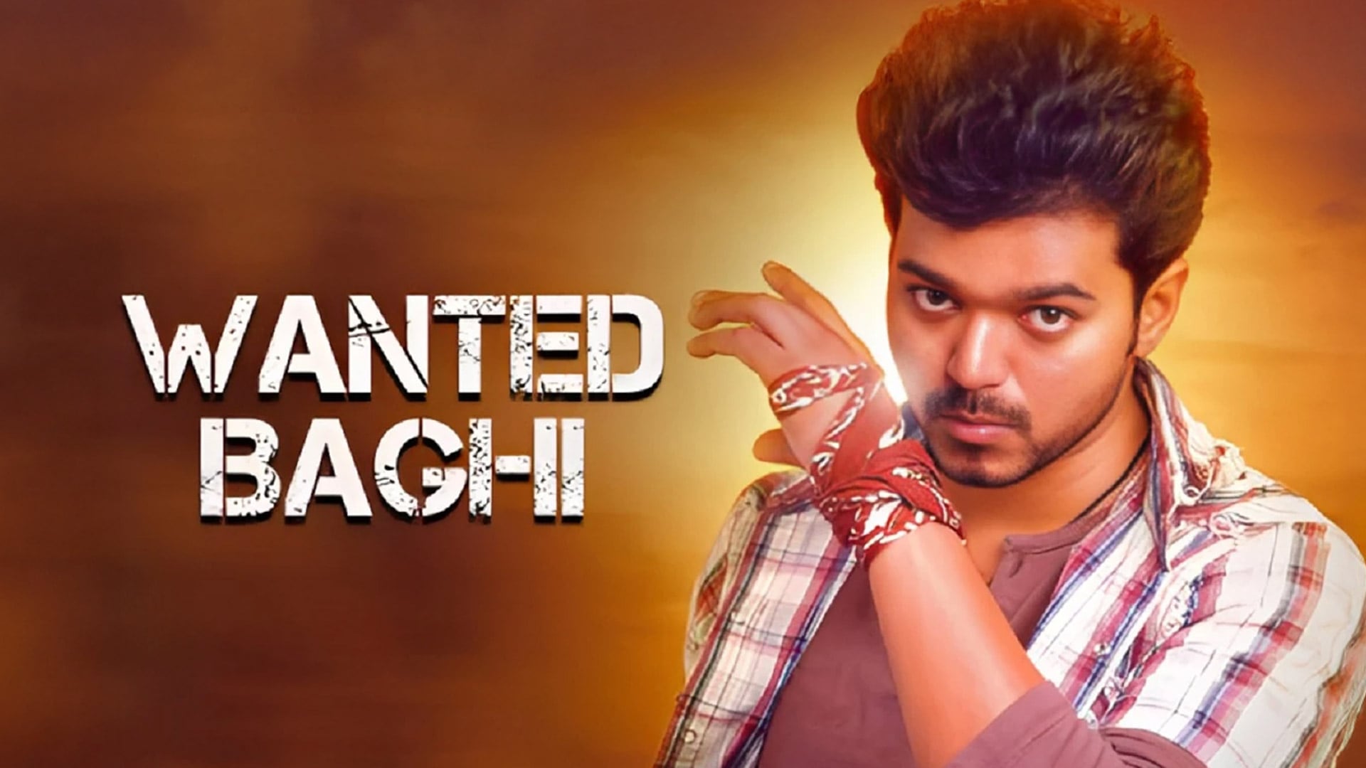 WANTED BAGHI | Hindi Dubbed Movies | From South Indian Movies | WAMINDIA Network