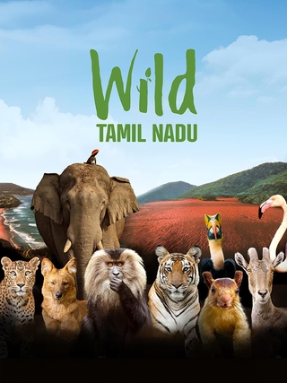 Wild Tamil Nadu photo 1