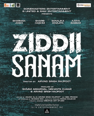 Ziddii Sanam photo 1