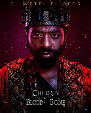 Children of Blood and Bone photo 6