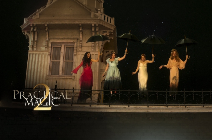 Practical Magic 2 movie banner