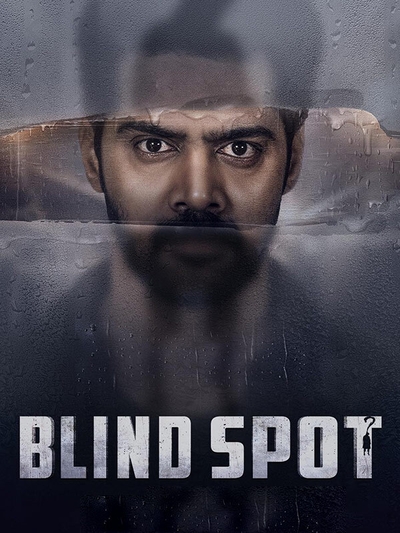Blind Spot poster