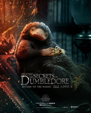 Fantastic Beasts: The Secrets of Dumbledore (2022) photo 18