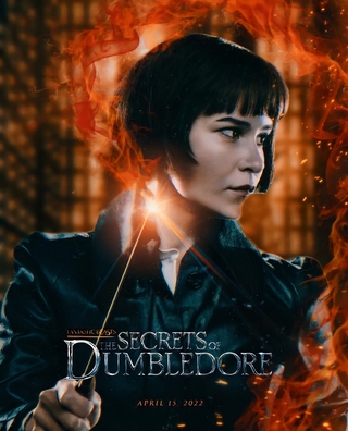 Fantastic Beasts: The Secrets of Dumbledore (2022) photo 6