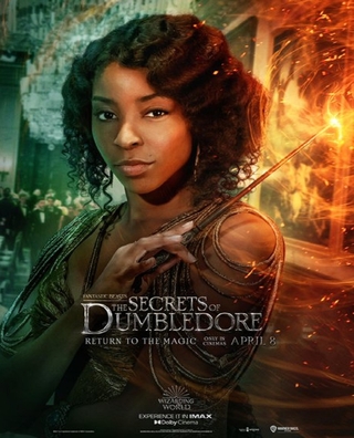 Fantastic Beasts: The Secrets of Dumbledore (2022) photo 11