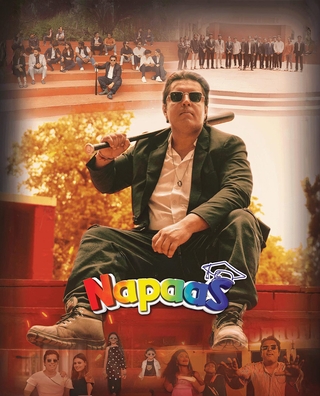 Napaas photo 1