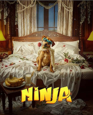 Ninja photo 1
