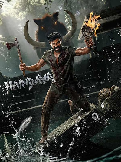 Haindava poster