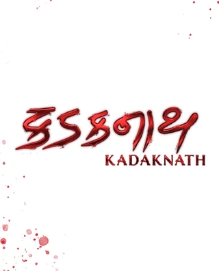Kadaknath photo 1
