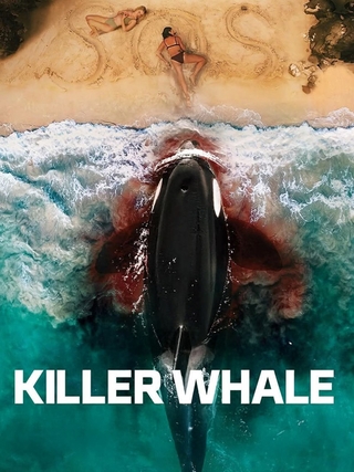 Killer Whale photo 1